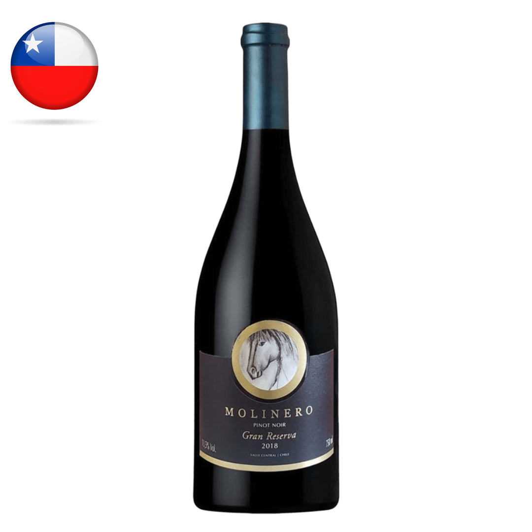 VI CHI MOLINERO GRAN RES PINOT NOIR 750